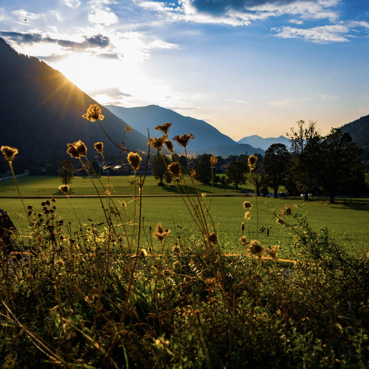 Abendlicht über einer Wiese bei Bayrischzell